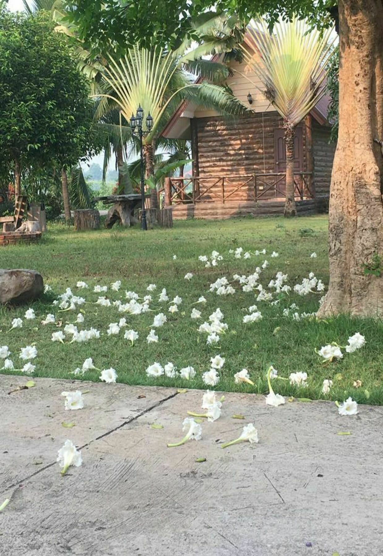 Bansuan Chomdao Resort Khon Kaen Exterior photo